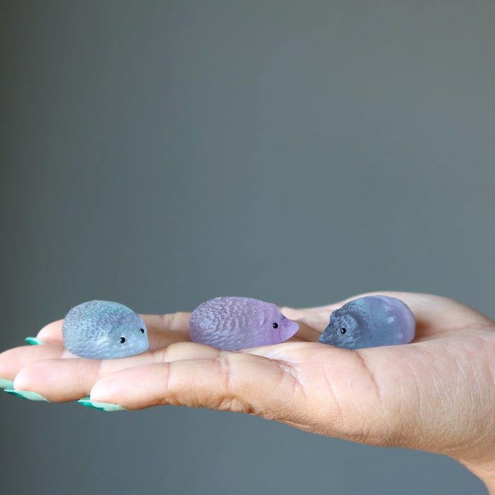 displaying on model palm 3 Rainbow Fluorite Hedgehog Animal Figurines