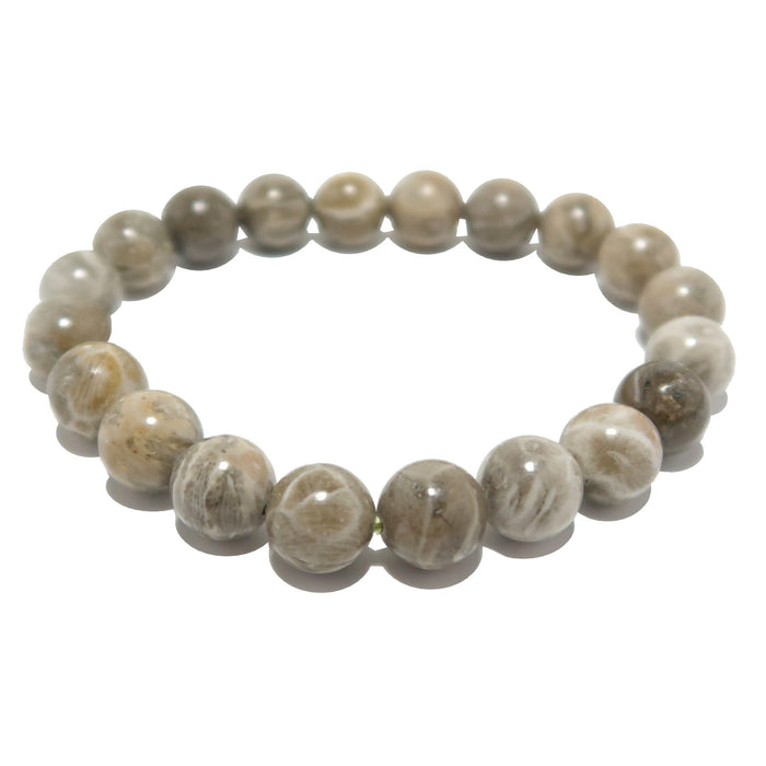 fossil coral bracelet