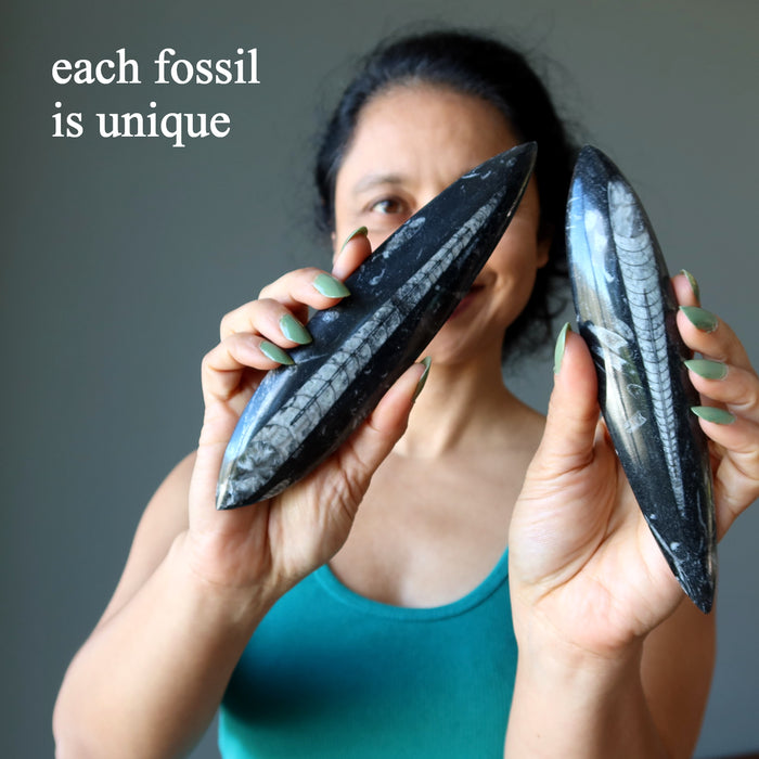 Orthoceras Fossil Arrowhead Wand Ancient Stone