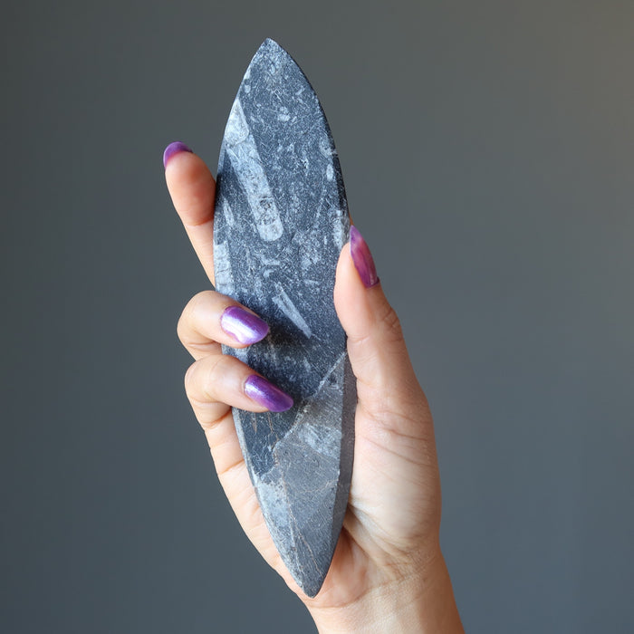 Orthoceras Fossil Arrowhead Wand Ancient Stone