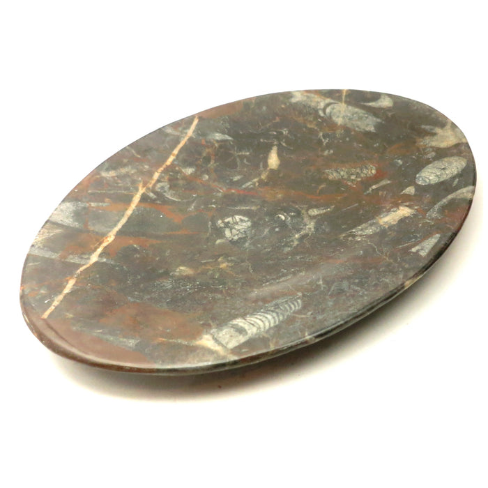Orthoceras Fossil Dish Oval Black Stone Hostess Entertaining Platter
