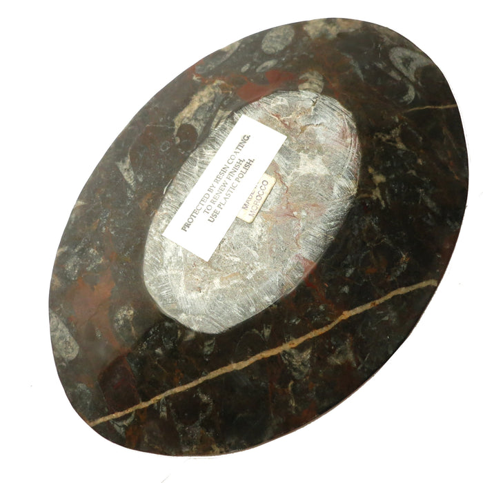 Orthoceras Fossil Dish Oval Black Stone Hostess Entertaining Platter