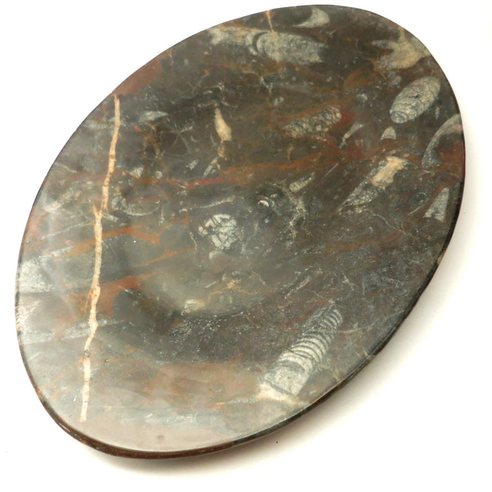 Orthoceras Fossil Dish Oval Black Stone Hostess Entertaining Platter