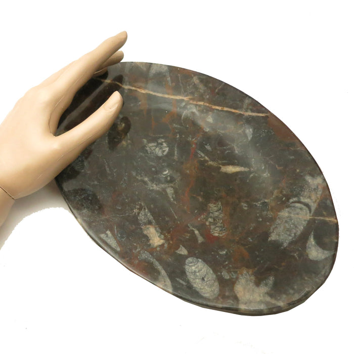 Orthoceras Fossil Dish Oval Black Stone Hostess Entertaining Platter