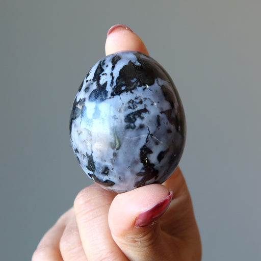 holding Gabbro Egg 