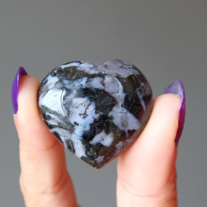 holding Gabbro Heart