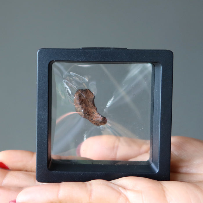 Henbury Meteorite Space Aficionado Rare Iron Australia