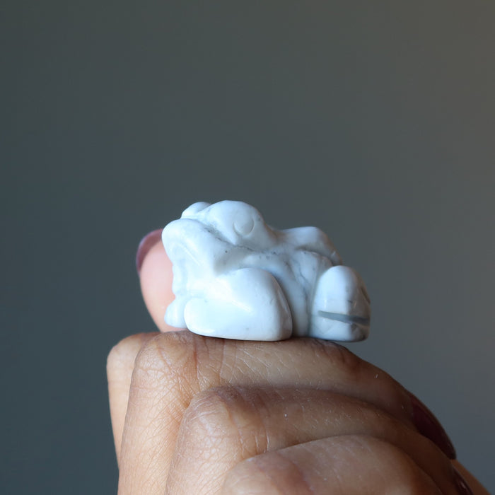 holding Howlite Frog