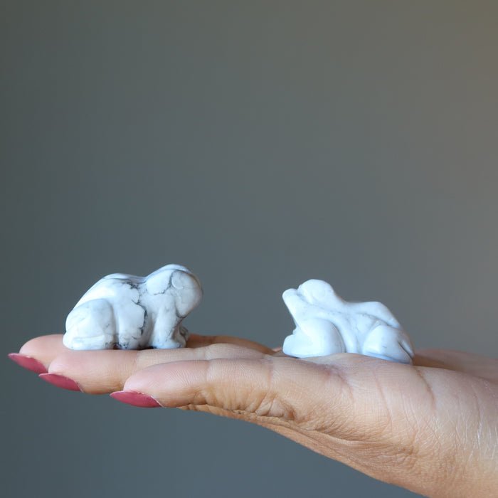 holding two Howlite Frogs