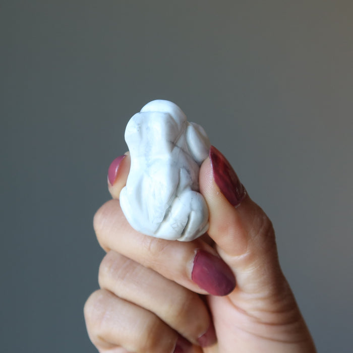holding Howlite Frog
