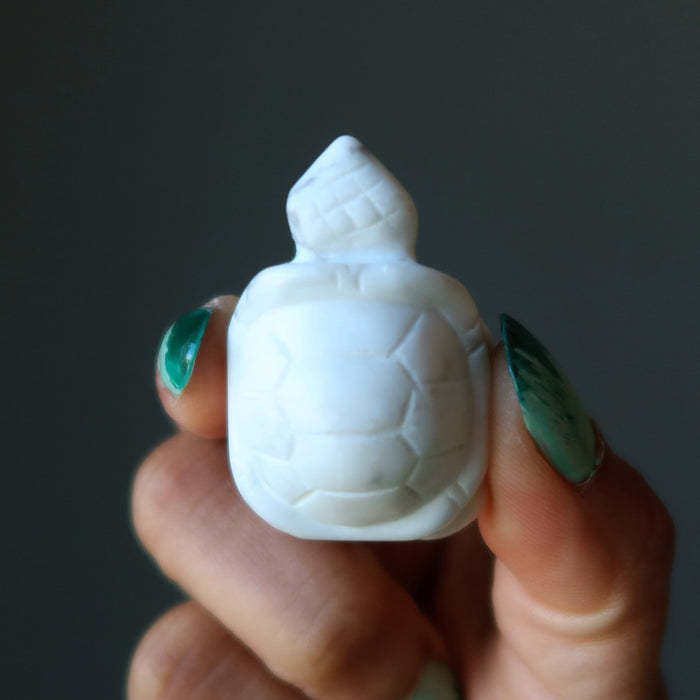 howlite turtle