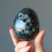 iolite egg