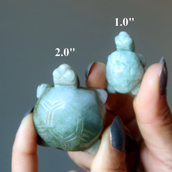 jadeite jade turtles
