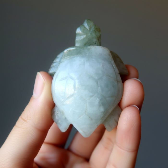 Jade Tortoise Jadeite Swim to Success Sea Turtle