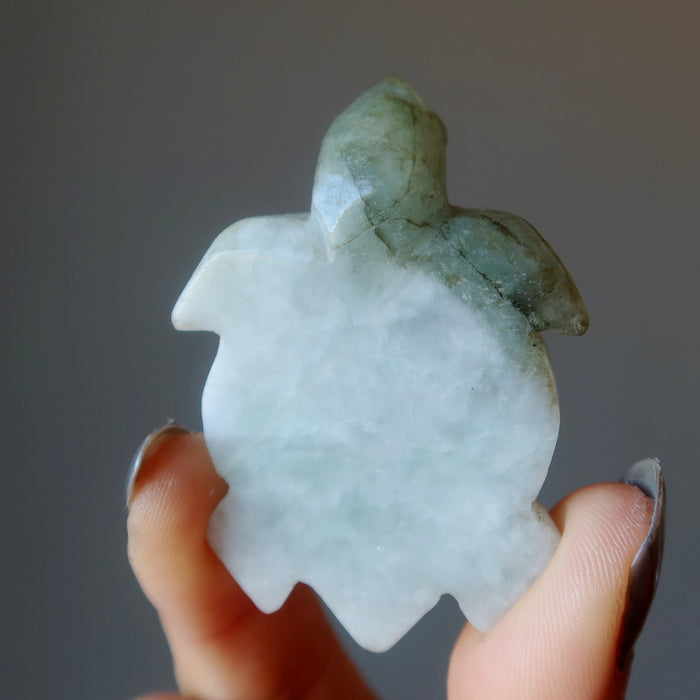 Jade Tortoise Jadeite Swim to Success Sea Turtle