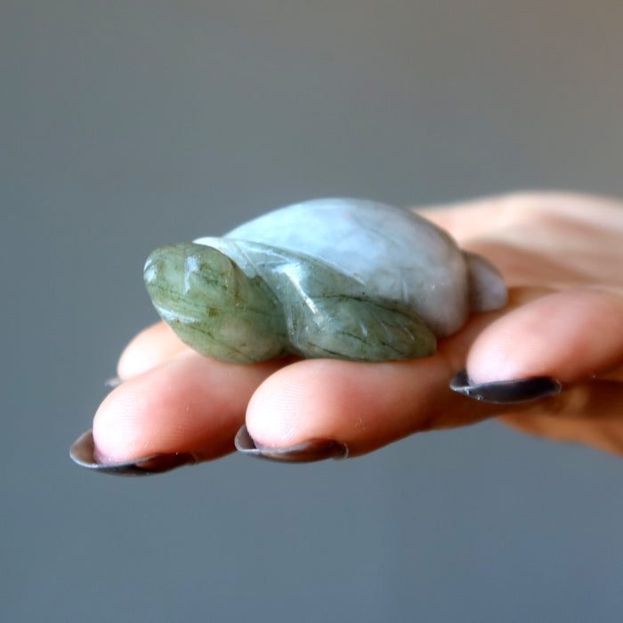 Jade Tortoise Jadeite Swim to Success Sea Turtle