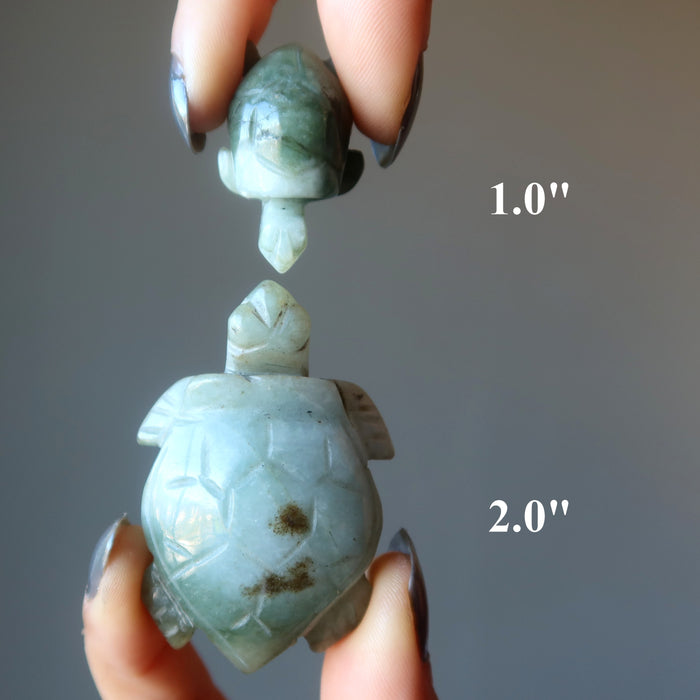 Jade Tortoise Jadeite Swim to Success Sea Turtle