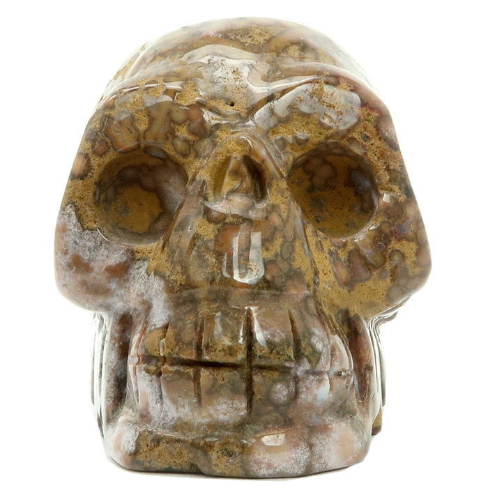 leopard jasper skull