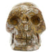 leopard jasper skull