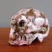 leopard jasper skull