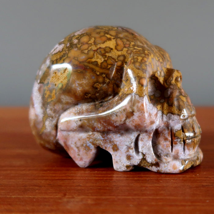 leopard jasper skull
