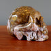 leopard jasper skull