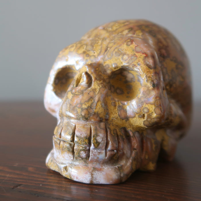 leopard jasper skull