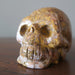 leopard jasper skull