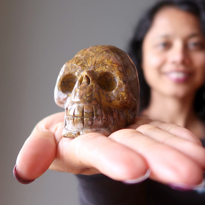 leopard jasper skull