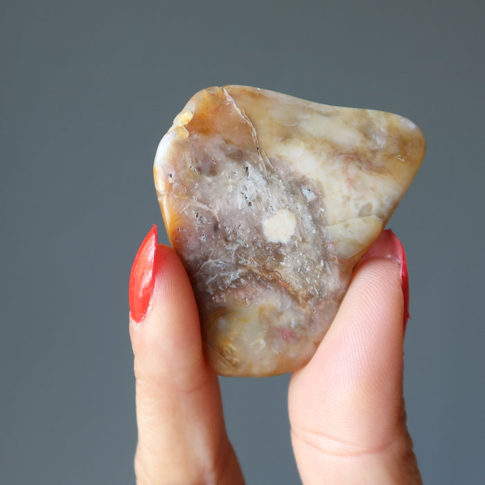 Brown Jasper Magnet Pair Nature in my Home Crystals