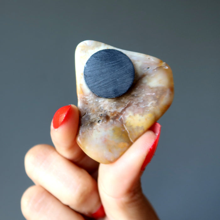 Brown Jasper Magnet Pair Nature in my Home Crystals