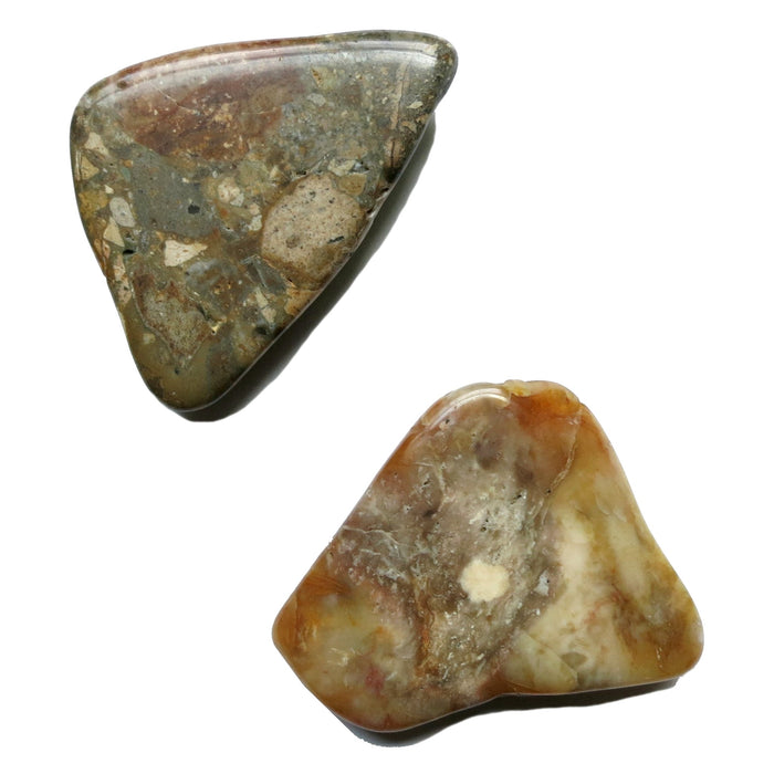 Brown Jasper Magnet Pair Nature in my Home Crystals