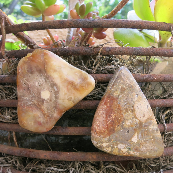 Brown Jasper Magnet Pair Nature in my Home Crystals