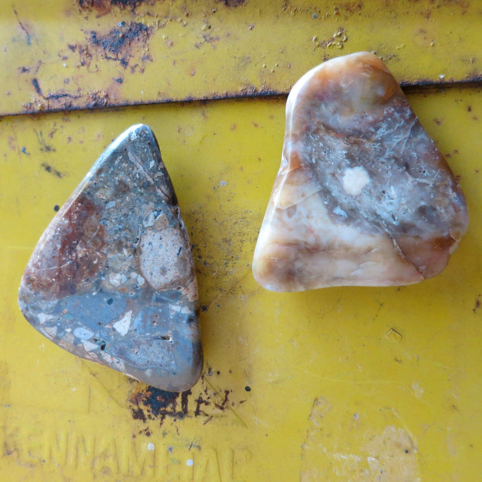 Brown Jasper Magnet Pair Nature in my Home Crystals