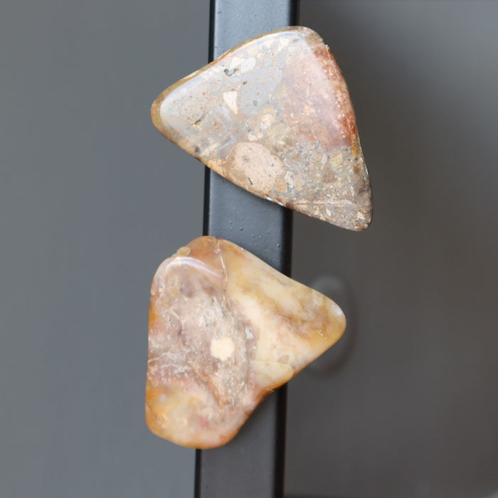 Brown Jasper Magnet Pair Nature in my Home Crystals