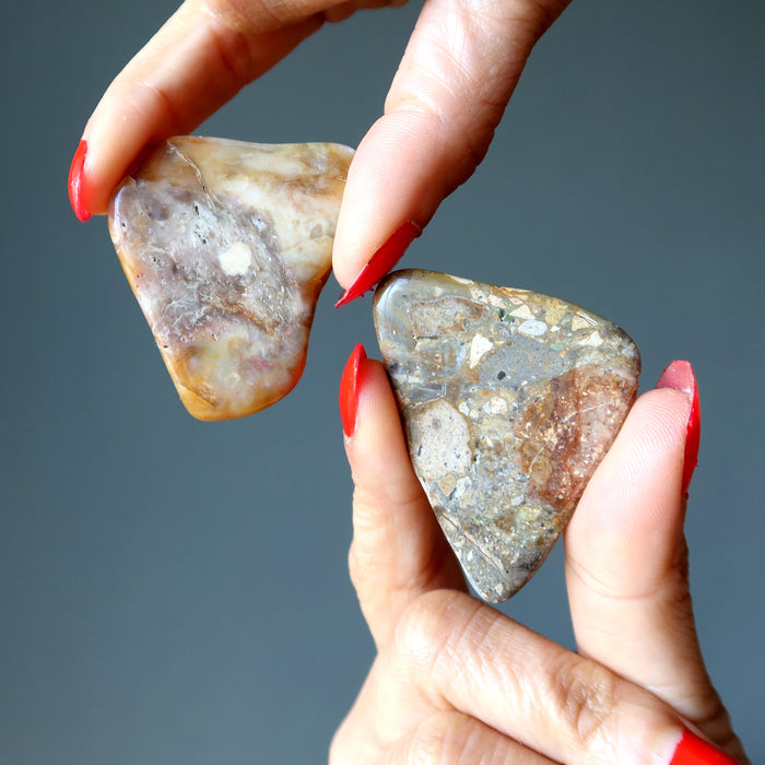 Brown Jasper Magnet Pair Nature in my Home Crystals