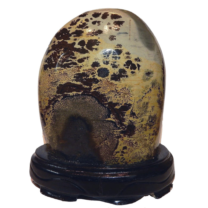 Dendritic Jasper Display Stone Infinite Earth