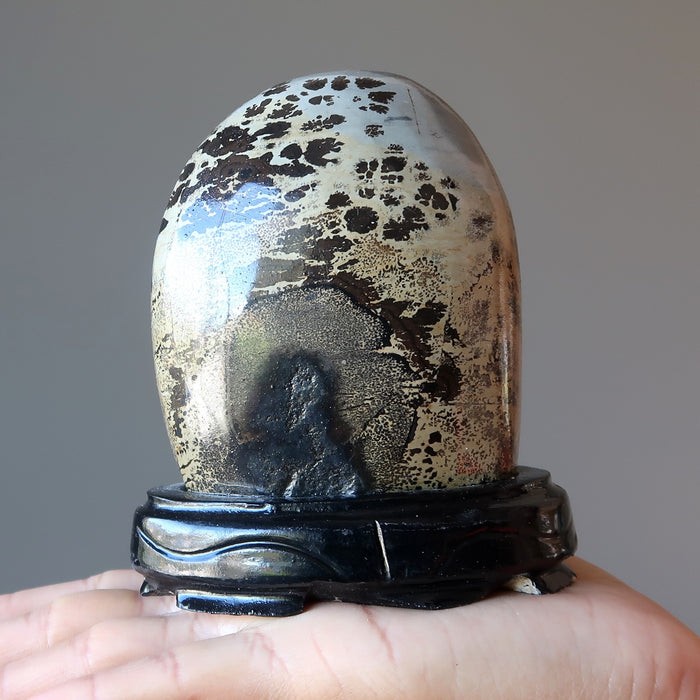 Dendritic Jasper Display Stone Infinite Earth