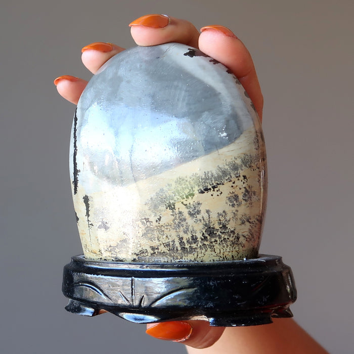 Dendritic Jasper Display Stone Infinite Earth