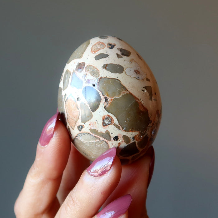safari jasper egg