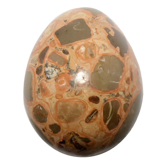 safari jasper egg