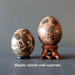 safari jasper eggs on stands