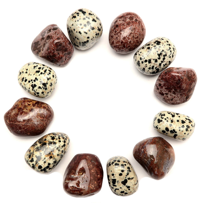 set of 6 spotted black and white dalmatian jasper and red leopard jasper tumbled stones