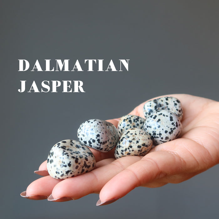 hand holding 6 dalmatian jasper tumbled stones