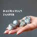 hand holding 6 dalmatian jasper tumbled stones