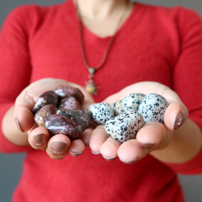 hands holding leopard jasper and dalmatian jasper tumbled stones