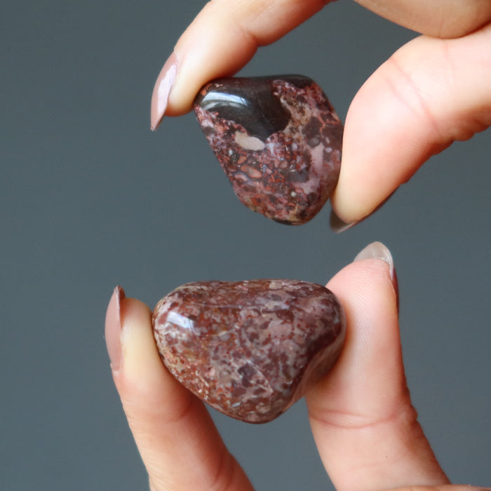 hands holding two leopard jasper tumbled stones