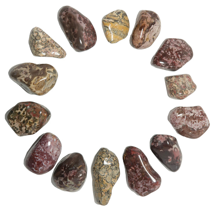 14 leopard jasper tumbled stones