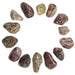 14 leopard jasper tumbled stones
