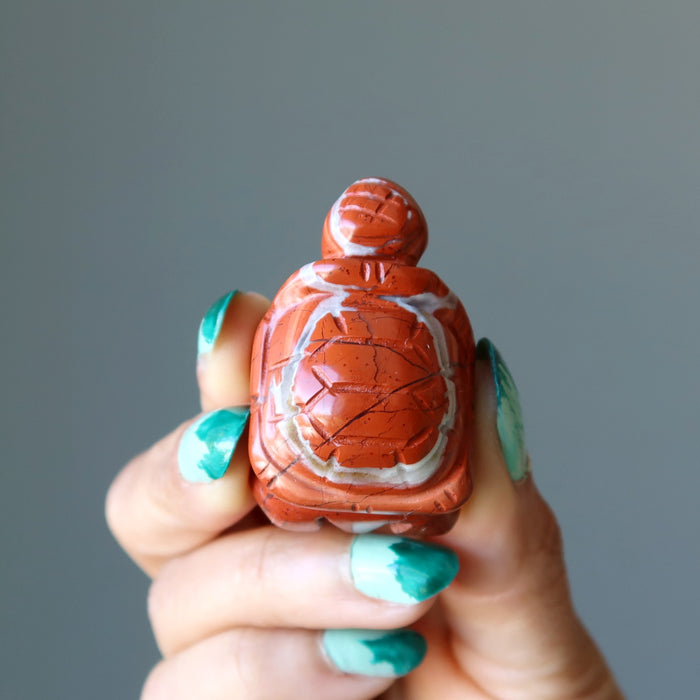 red jasper turtle